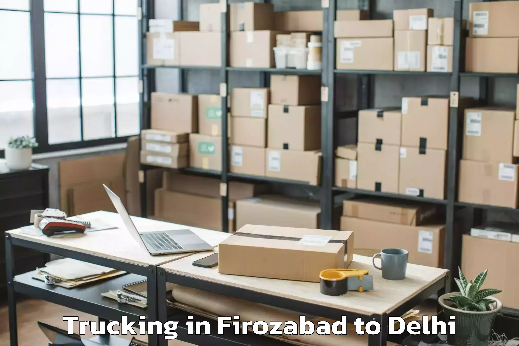 Expert Firozabad to Mgf Metropolitan Mall Delhi Trucking